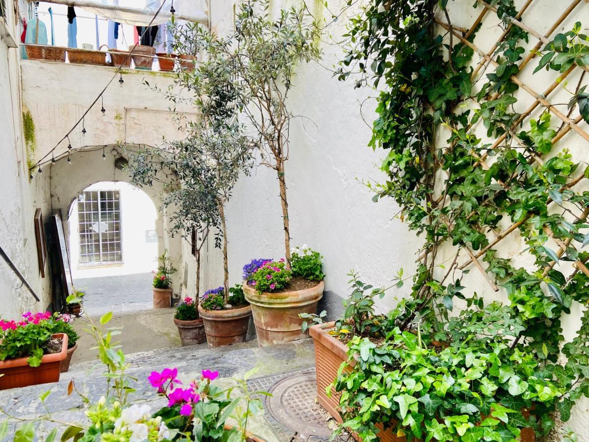 Casa Viggiano In The Heart Of Amalfiアパートメント エクステリア 写真
